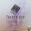 Splice DJ Taye Trippy Kit Vol 1 (WAV) - сэмплы Trap, Hip Hop Splice DJ Taye Trippy Kit Vol 1 (WAV) - сэмплы Trap, Hip Hop