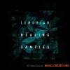 Splice Lemurian Healing Samples (WAV) - сэмплы House Splice Lemurian Healing Samples (WAV) - сэмплы House