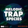Big EDM Melodic Trap Species (WAV MIDi PRESETS) - сэмплы Trap Big EDM Melodic Trap Species (WAV MIDi PRESETS) - сэмплы Trap