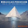 Splice Sounds Dome of Doom: World Class Percussion 2 (WAV) - сэмплы перкуссии Splice Sounds Dome of Doom: World Class Percussion 2 (WAV) - сэмплы перкуссии