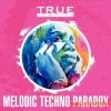 True Samples Melodic Techno Paradox (WAV MiDi SPiRE) - сэмплы Techno