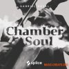 Splice Originals: Chamber Soul with Gabriel Royal (WAV) - сэмплы R&B, Hip Hop, Future Soul Splice Originals: Chamber Soul with Gabriel Royal (WAV) - сэмплы R&B, Hip Hop, Future Soul