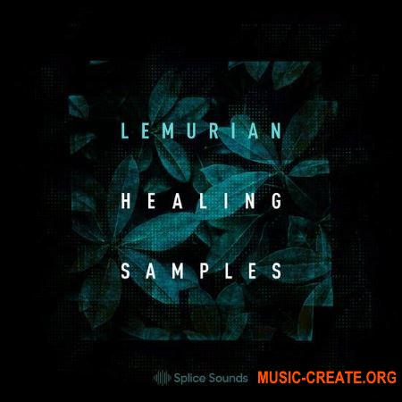 Splice Lemurian Healing Samples (WAV) - сэмплы House