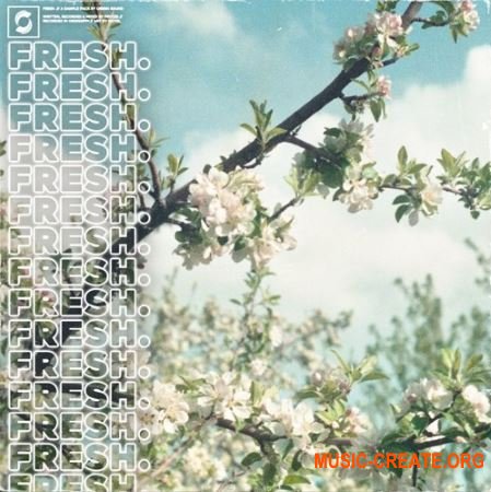 Origin Sound Fresh (WAV) - сэмплы Hip Hop, Lo-Fi