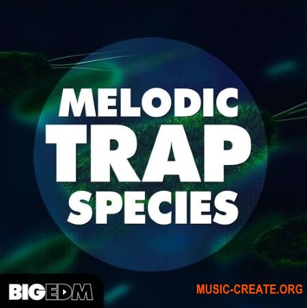 Big EDM Melodic Trap Species (WAV MIDi PRESETS) - сэмплы Trap