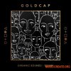 Splice Sounds Goldcap Organic Sounds – Drums & Percussion (WAV) - сэмплы ударных