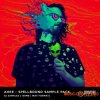 Gravitas Create AHEE Spellbound Sample Pack (WAV) - сэмплы Bass House Gravitas Create AHEE Spellbound Sample Pack (WAV) - сэмплы Bass House