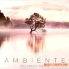 Freak Music Ambiente (WAV MIDI SPIRE) - сэмплы Ambient, Chillstep, Chillout Freak Music Ambiente (WAV MIDI SPIRE) - сэмплы Ambient, Chillstep, Chillout