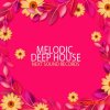 Next Sound Records Melodic Deep House (WAV MIDI SPIRE SERUM SYLENTH1) - сэмплы Deep House