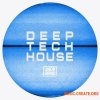 UNDRGRND Sounds Deep Tech House (MULTiFORMAT) - сэмплы Deep Tech House