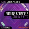 Surge Sounds Future Bounce 2 (WAV MiDi Serum) - сэмплы Future Bounce Surge Sounds Future Bounce 2 (WAV MiDi Serum) - сэмплы Future Bounce