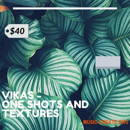 Vikas One Shots +Textures Vol. 1 (WAV) - сэмплы Hip Hop, Trap