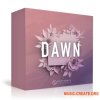 Skifonix Sounds Dawn Future House (WAV MiDi SYNTH PRESETS DAW TEMPLATE) - сэмплы Future House Skifonix Sounds Dawn Future House (WAV MiDi SYNTH PRESETS DAW TEMPLATE) - сэмплы Future House