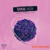 Unmute SoulVox (WAV MiDi) - вокальные сэмплы