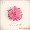 Unmute Nova (WAV MiDi SERUM) - сэмплы Future Soul Unmute Nova (WAV MiDi SERUM) - сэмплы Future Soul