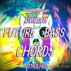 Patchmaker Unicorn Future Bass Chords (XFER RECORDS CTHULHU) Patchmaker Unicorn Future Bass Chords (XFER RECORDS CTHULHU)