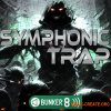 Bunker 8 Digital Labs Symphonic Trap (MULTiFORMAT) - сэмплы Trap Bunker 8 Digital Labs Symphonic Trap (MULTiFORMAT) - сэмплы Trap