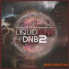 Famous Audio Liquid Funk DnB Vol 2 (WAV) - сэмплы Funk / Liquid DnB Famous Audio Liquid Funk DnB Vol 2 (WAV) - сэмплы Funk / Liquid DnB