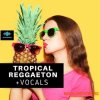 Seven Sounds Tropical Reggaeton + Vocals (WAV MiDi SYNTH PRESETS) - сэмплы Tropical Reggaeton, Dancehall Seven Sounds Tropical Reggaeton + Vocals (WAV MiDi SYNTH PRESETS) - сэмплы Tropical Reggaeton, Dancehall