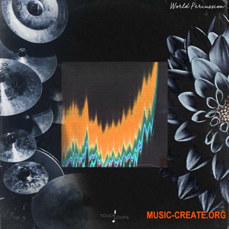 Touch Loops World Percussion (WAV) - сэмплы перкуссии Touch Loops World Percussion (WAV) - сэмплы перкуссии