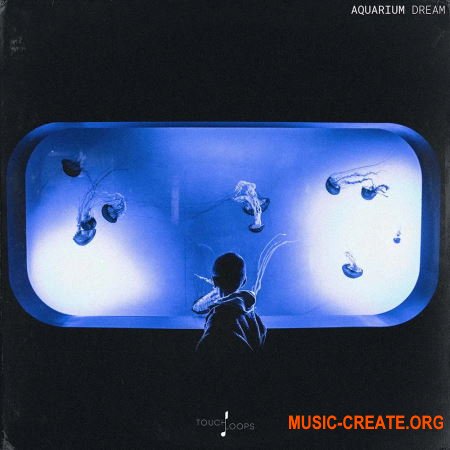 Touch Loops Aquarium Dream (WAV MiDi) - сэмплы Lo-Fi Hip-Hop, Ambient, Experimental