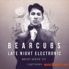 Loopmasters Bearcubs: Late Night Electronic (MULTiFORMAT) - сэмплы Electronic Loopmasters Bearcubs: Late Night Electronic (MULTiFORMAT) - сэмплы Electronic