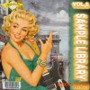 Fikon Records Fraxille Sample Library Vol. 1 (WAV) - сэмплы гитар, клавишных