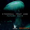 Komorebi Audio Ethereal Trap And Future Wave (WAV) - сэмплы Trap, Future Wave Komorebi Audio Ethereal Trap And Future Wave (WAV) - сэмплы Trap, Future Wave