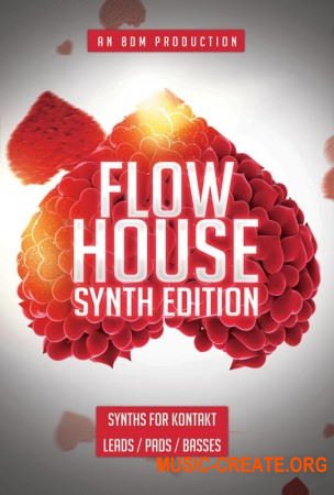 8DIO Flow House Synth Edition (KONTAKT) - библиотека синтезаторов