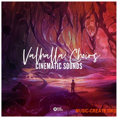 Black Octopus Sound Cinematic Sounds Valhalla Choirs (WAV) - сэмплы Ambient, вокала