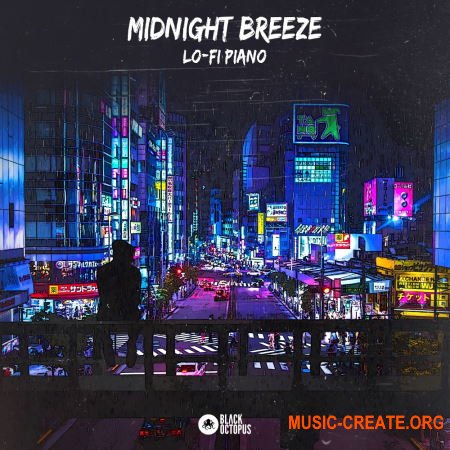 Black Octopus Sound Midnight Breeze - Lo-Fi Piano (WAV) - сэмплы Lo-Fi