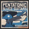 Frontline Producer Pentatonic Blues Guitars (WAV REX) - сэмплы гитары Frontline Producer Pentatonic Blues Guitars (WAV REX) - сэмплы гитары