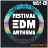Sample Tools By Cr2 Festival EDM Anthems (MULTiFORMAT) - сэмплы EDM Sample Tools By Cr2 Festival EDM Anthems (MULTiFORMAT) - сэмплы EDM