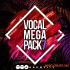 Audentity Records Vocal Megapack 7 (WAV SERUM SPiRE) - вокальные сэмплы Audentity Records Vocal Megapack 7 (WAV SERUM SPiRE) - вокальные сэмплы