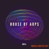 Black Octopus Sound House Of Arps (WAV) - сэмплы House Black Octopus Sound House Of Arps (WAV) - сэмплы House