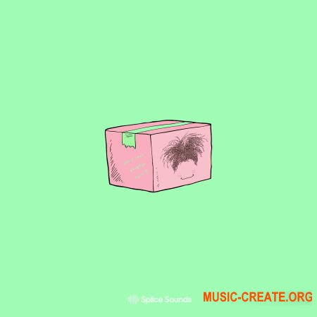 Splice OSHI's Care Package Vol 2 (MULTiFORMAT) - сэмплы Hip Hop, Pop, RnB