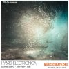 Famous Audio Hybrid Electronica (WAV) - сэмплы Electronica, Downtempo Famous Audio Hybrid Electronica (WAV) - сэмплы Electronica, Downtempo