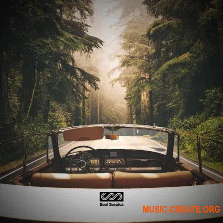 Soul Surplus Cruise Control (WAV) - сэмплы Soul