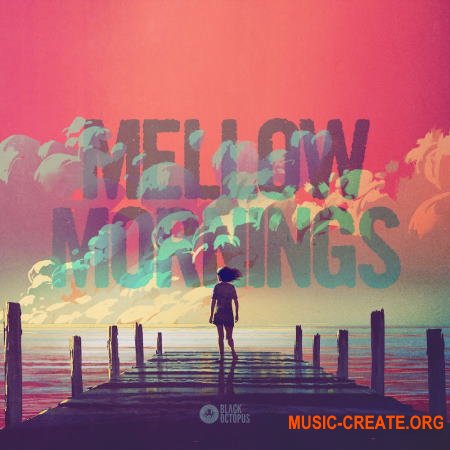 Black Octopus Sound Mellow Mornings Lofi Vibes (WAV) - сэмплы Hip Hop, Lo-Fi