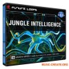 Future Loops Jungle Intelligence (MULTiFORMAT) - сэмплы Jungle Future Loops Jungle Intelligence (MULTiFORMAT) - сэмплы Jungle