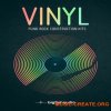 Big Fish Audio VINYL: Funk Rock Construction Kits (WAV AIFF) - сэмплы Funk Rock Big Fish Audio VINYL: Funk Rock Construction Kits (WAV AIFF) - сэмплы Funk Rock