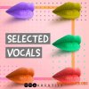 Audentity Records Selected Vocals (WAV) - вокальные сэмплы Audentity Records Selected Vocals (WAV) - вокальные сэмплы