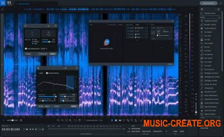 iZotope RX 8 Audio Editor Advanced v8.1.0 (Team R2R) - плагин восстановления аудио