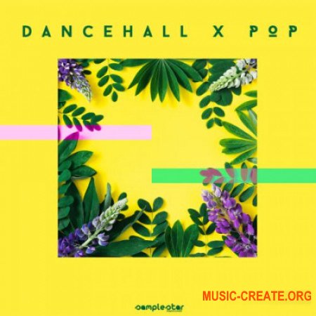 Samplestar Dancehall X Pop (WAV MIDI) - сэмплы Dancehall