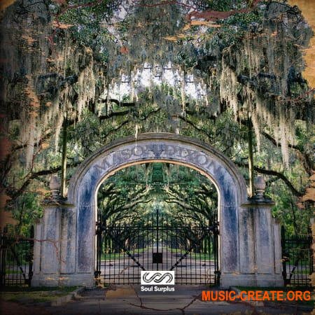 Soul Surplus Mason Dixon (WAV) - сэмплы Hip Hop