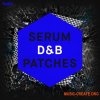 Sample Magic Serum D&B Patches (SERUM) Sample Magic Serum D&B Patches (SERUM)