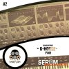 Vandalism Shocking G-House For Serum 2 (SERUM, WAV, MIDI) - сэмплы G-House