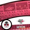 Vandalism Shocking Riddim For Serum (Serum presets)