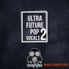 Vandalism Ultra Future Pop Vocals 2 (WAV MIDI) - сэмплы вокала Vandalism Ultra Future Pop Vocals 2 (WAV MIDI) - сэмплы вокала