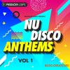 Producer Loops Nu-Disco Anthems Vol 1 (WAV) - сэмплы Nu Disco, Disco House